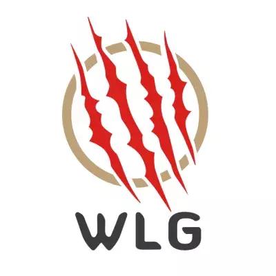春季赛季前赛俱乐部巡礼——TS、SG、WFG、WLG 勇者无畏