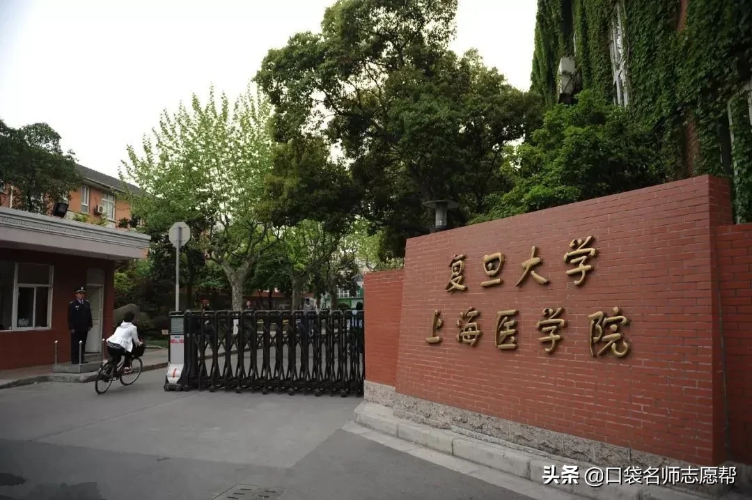 国立成功大学相当于内地(这10所985大学曾被“合并”，如今学科实力超强，值得报考)