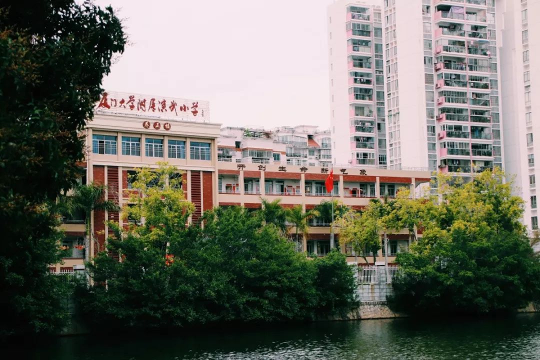 老破小一平10万+！我们走遍厦门18所名校，为你曝光最贵学区房！