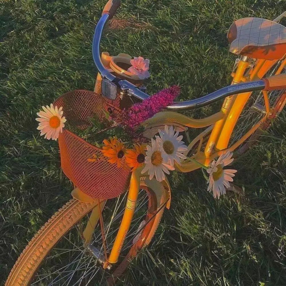 男主律师文《先生，你领带松了》【高冷禁欲系律师 VS 社会一姐】