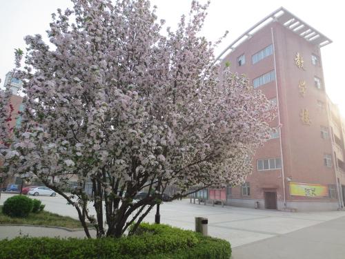 【名校形象宣传5】沧州一中2011年高考宣传典型材料