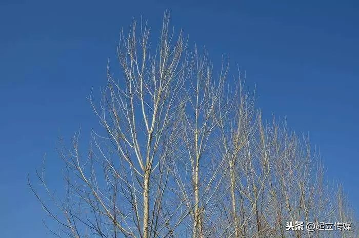 陪我复读考上北大的那一年，妈妈老了十岁