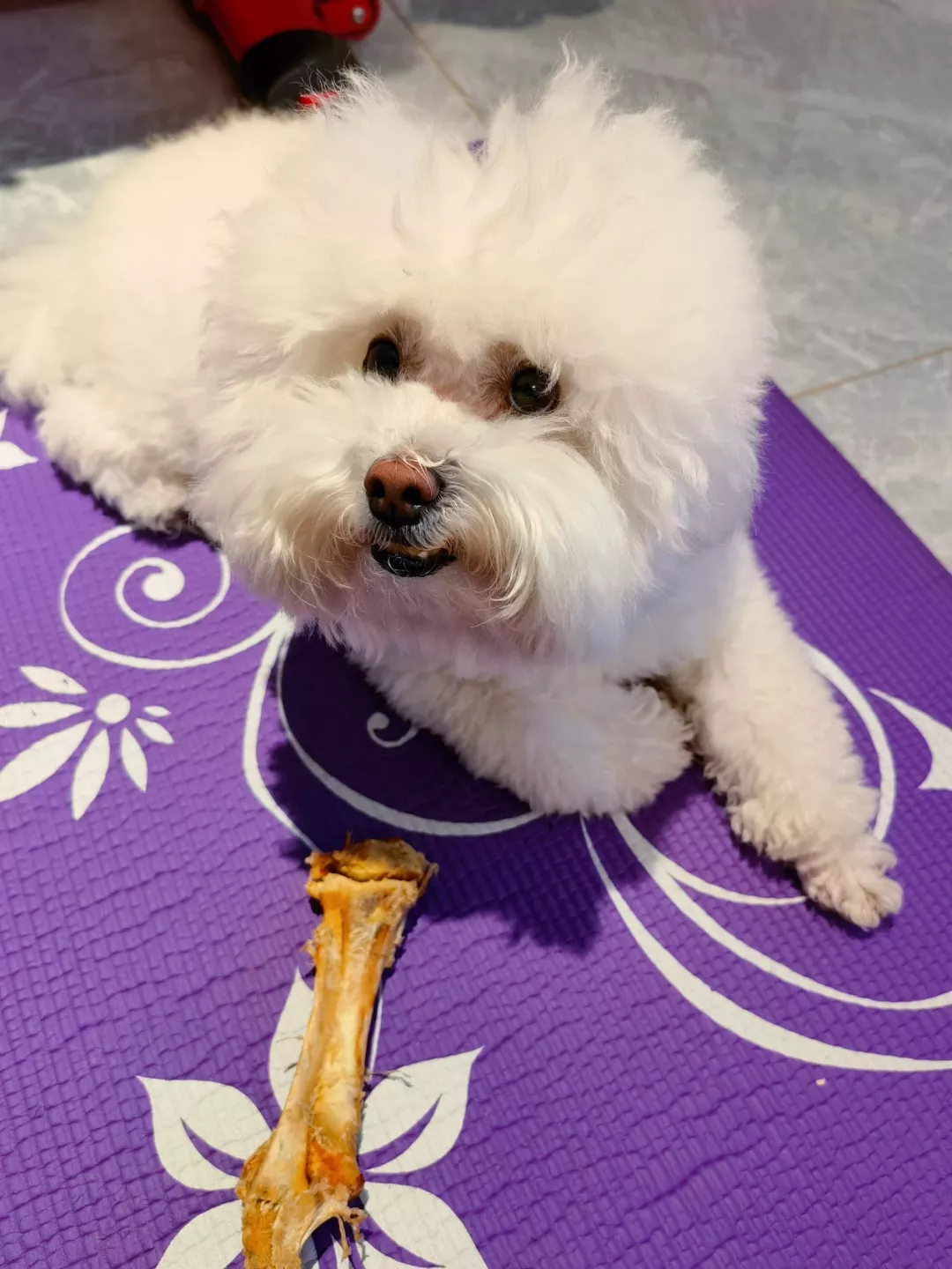 蛋卷儿都离婚了，我却还在单身……