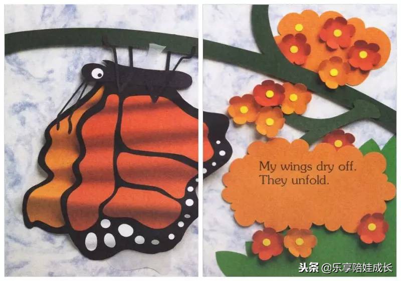 绘本磨耳朵：I'm a Caterpillar 中文《我是一条毛毛虫》！
