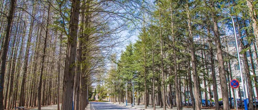 想上双一流大学？推荐几所网络教育大学，在职轻松读本科