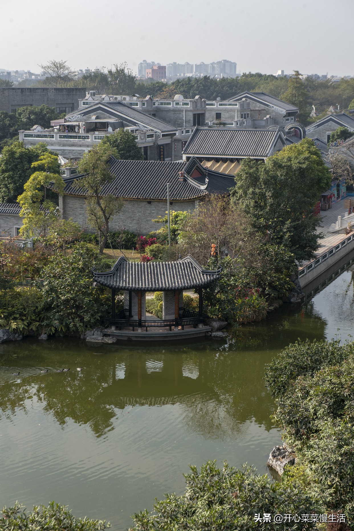 广州佛山哪里好玩(过年去哪儿玩？广东佛山五个区，我把好玩的景点全列出来了)