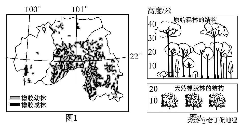 森林有哪三大效益（了解森林的效益和保护）