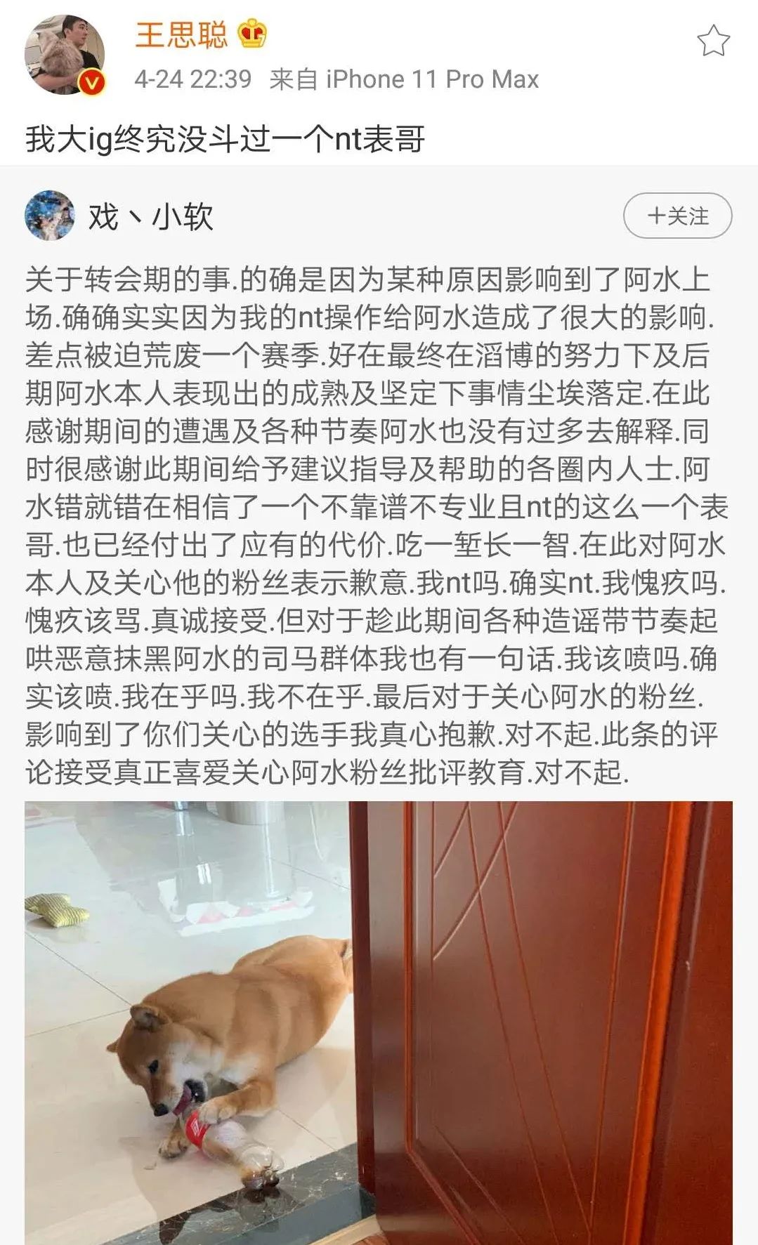 申屠为什么离开cba(王思聪肉身开团，阿水表哥真的脑瘫？)