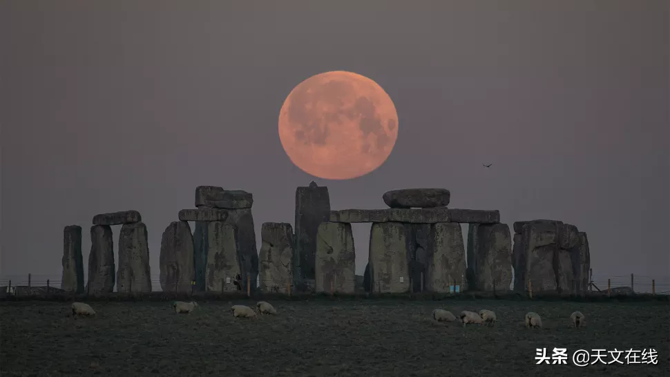 超级月亮图片真实(这些照片，定格了2021年“超级粉红月亮”的震撼，快来一睹风采吧)
