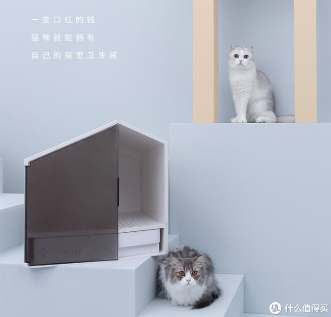 新手养猫指南——养猫一年我花了多少钱？看完我震惊了