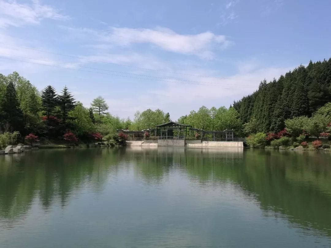 去浙江省宁波余姚市四明山森林公园余姚四明山旅游景点有哪些