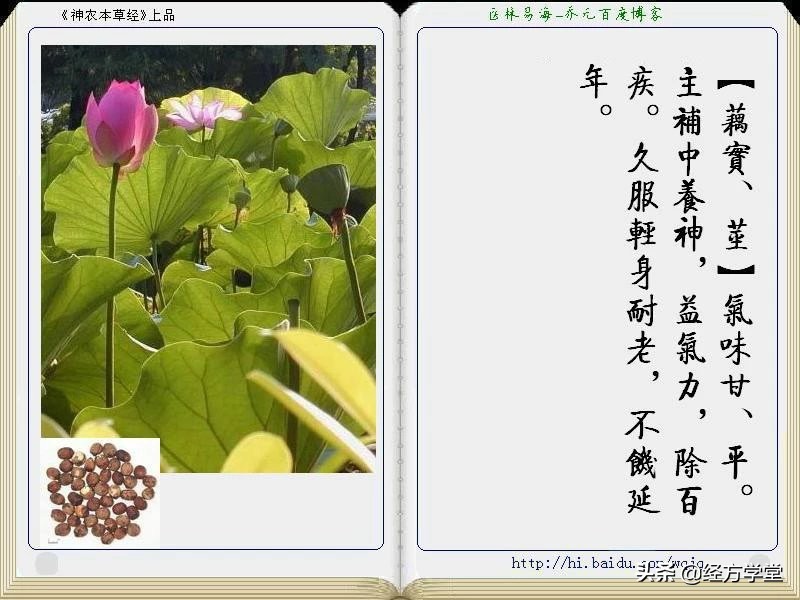 《神农本草经》全册图文解析 建议收藏