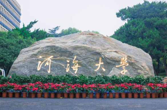 2021江苏省167所大学分9档，前三档实至名归，东南大学表现亮眼