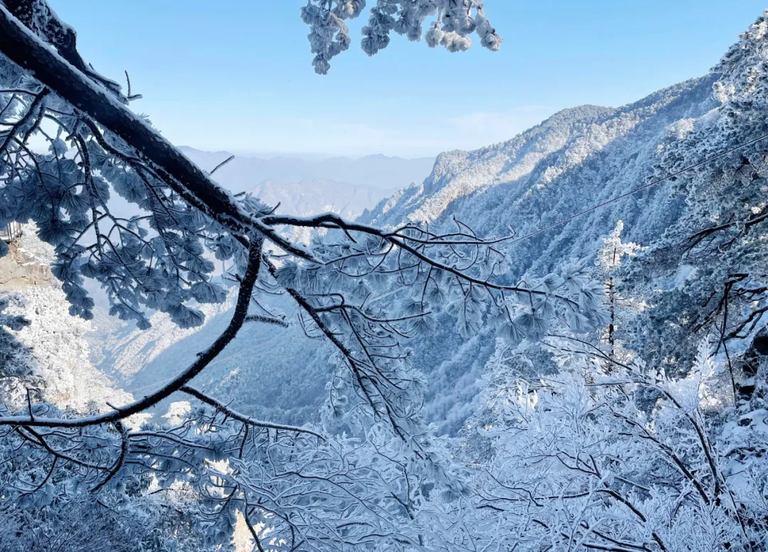 12月杭州哪里可以滑雪(千米高山，十年品牌，临安大明山万松岭滑雪场昨天开滑)