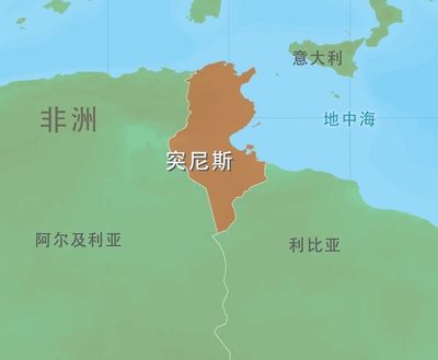 1882年意大利世界杯阵容(1895年意大利第一次入侵埃塞俄比亚，为何被反杀？)