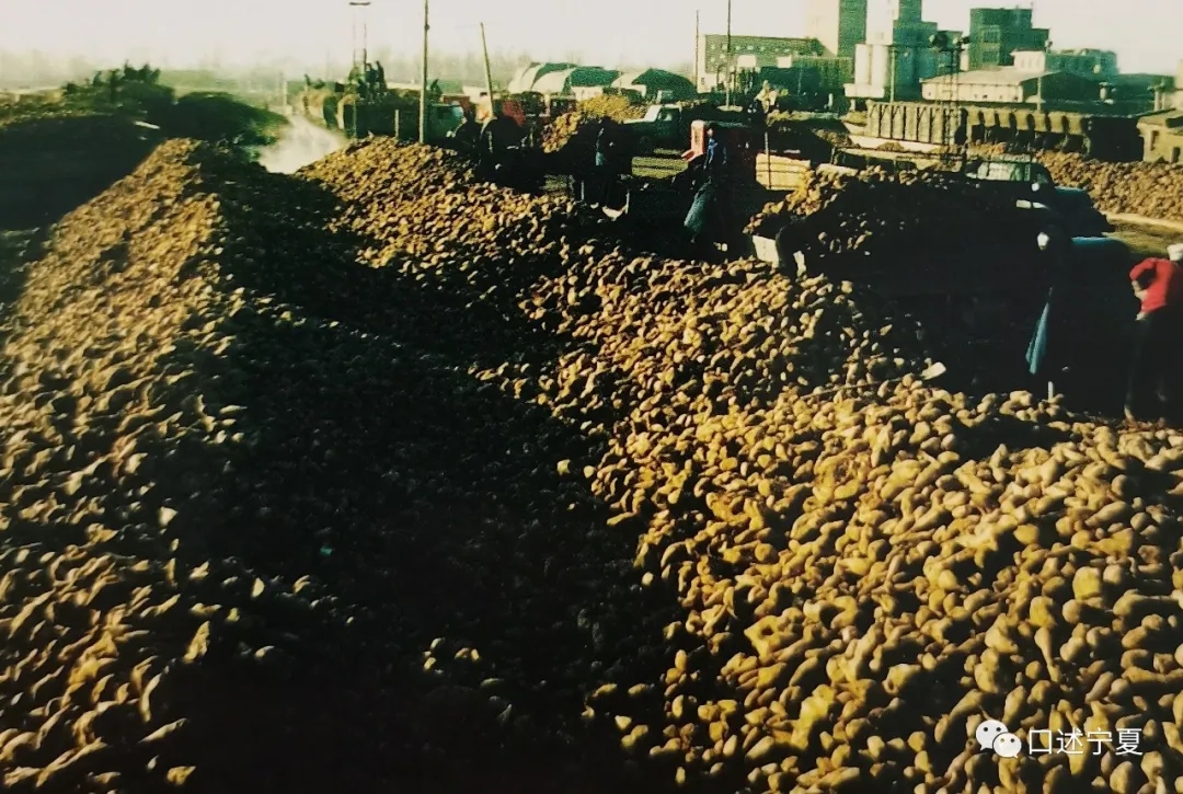 宁夏农垦创业时期的大中专学生 (上)