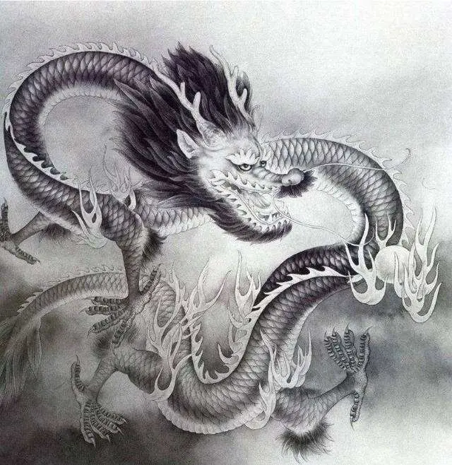 千年蟒蛇飞天遭雷劈—天蟒渡劫 巨龙的化身 安徽巨蟒渡劫事件起底