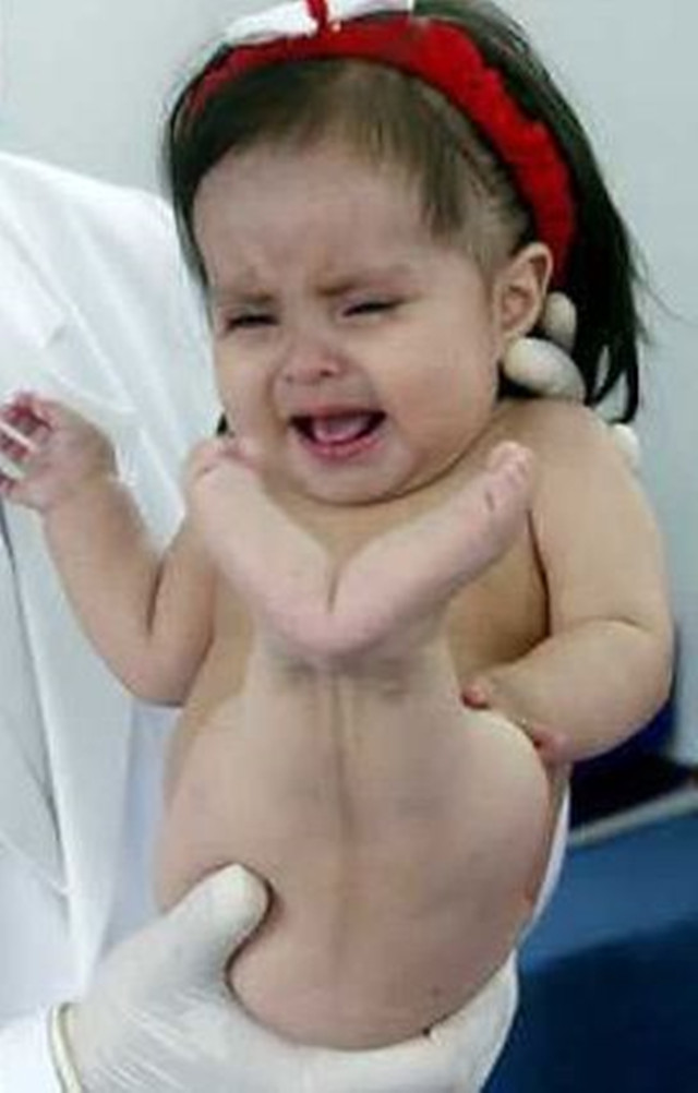 世界最美美人鱼(最美的美人鱼) 第2张