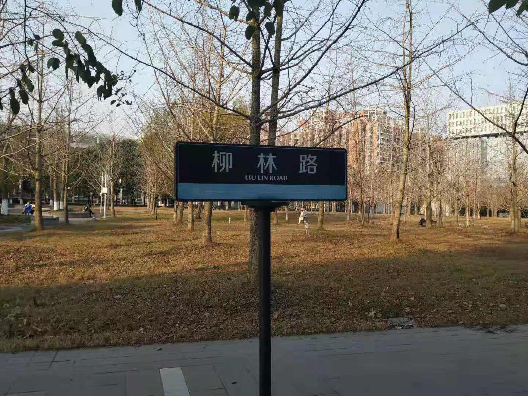 21新传考研 | 你好，新传人！西南财大了解下