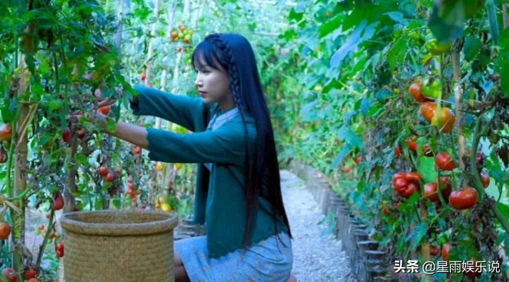 李子柒停更与“伯乐”闹纠纷,个人拼得过资本吗？
