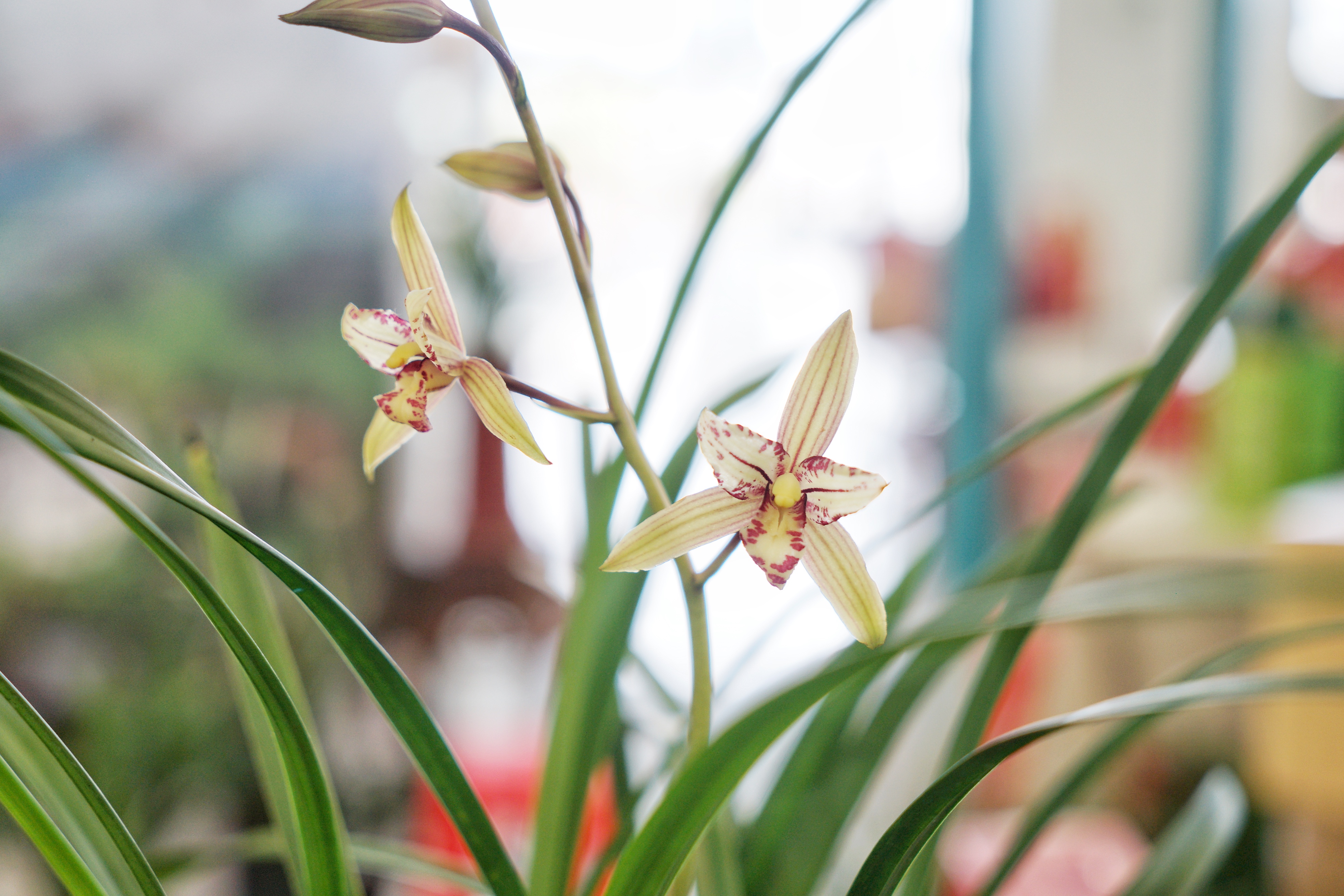 开始下庄图片大全(小众旅行地) - 赤虎壹号