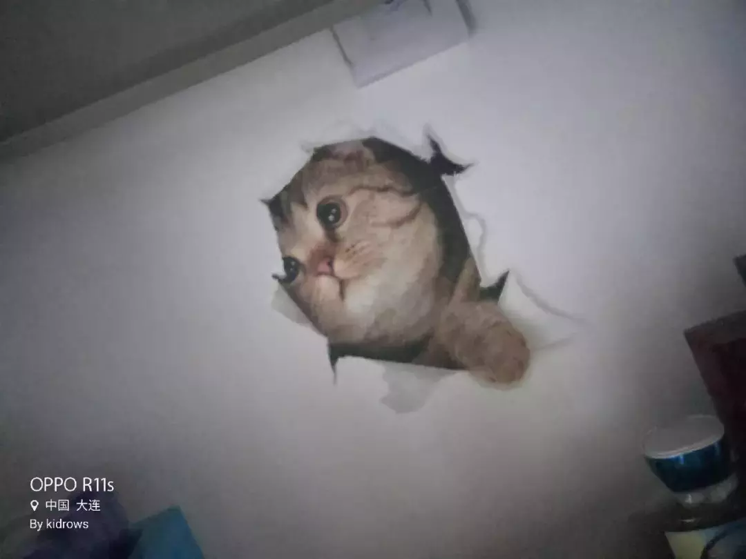 在大工，寝室能是什么样子？