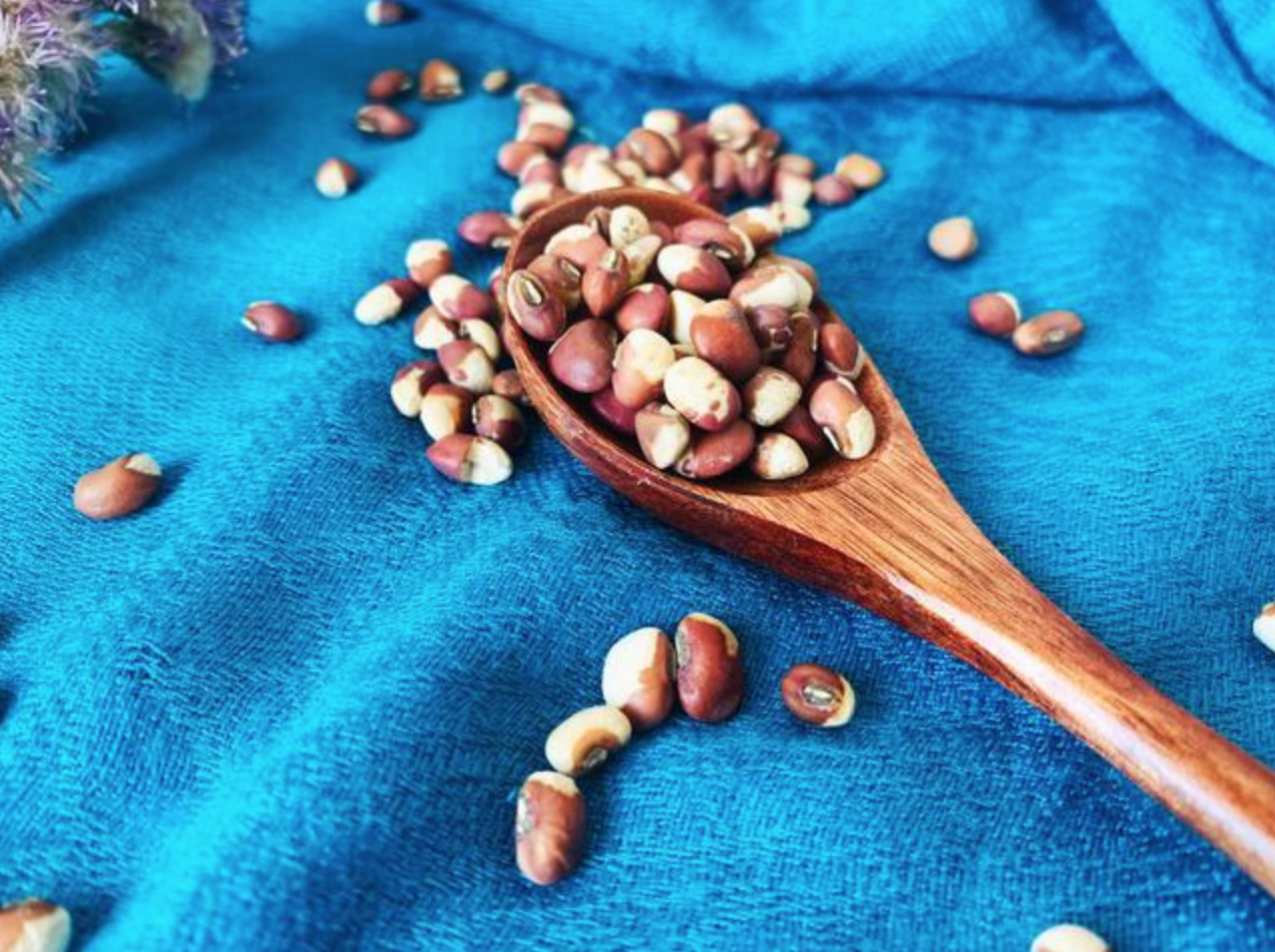 爬豆图片(这是唯一不用酵母自然发酵的美食) - 赤虎壹号