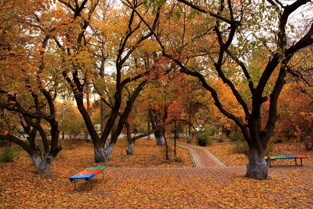 哈尔滨理工大学2017-2018录取分数线