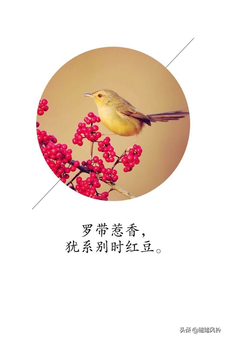 玲珑骰子安红豆,入骨相思知不知——九首红豆诗词,遥寄相思意!