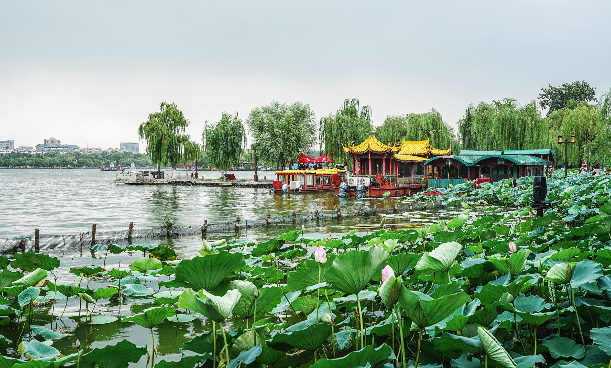 34度趵突泉多少钱一箱旅游目的地