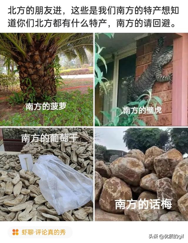 神评爆笑合集：公司加班没工资，但是有晚餐吃，你能接受吗？