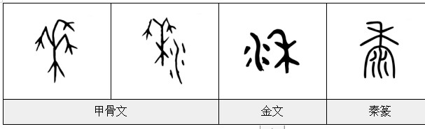 黍字怎么读 黍的意思