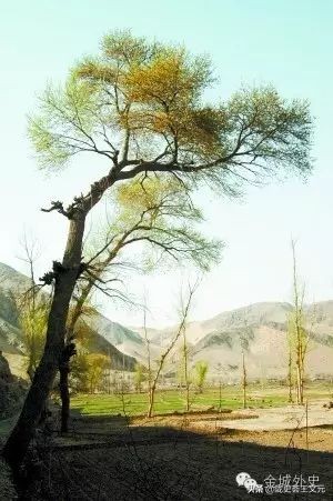 兰州到包头，黄河筏工，为何说：红山峡里翻大浪，黑山峡里的绵羊