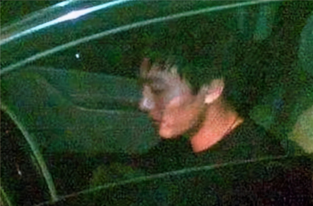 一句“我爸是李刚”，换来六年牢狱改造，出狱后父亲拒见