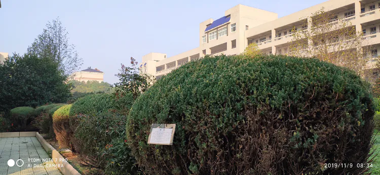 陪你一起看湖北省广水一中①——走进植物王国