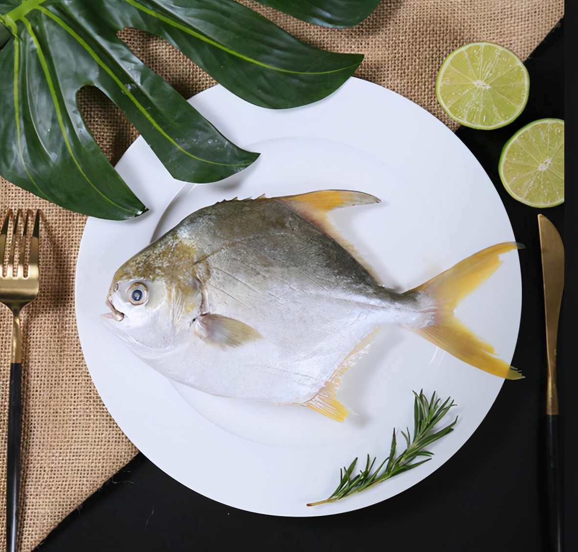 13金昌鱼在家里怎么养小技巧「科普」 -骁龙网