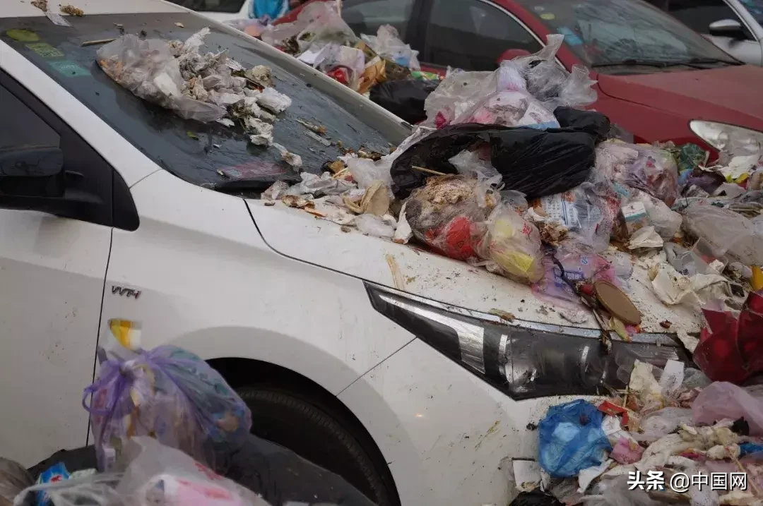 女子因垃圾未分类竟把志愿者掐晕，被行拘3日