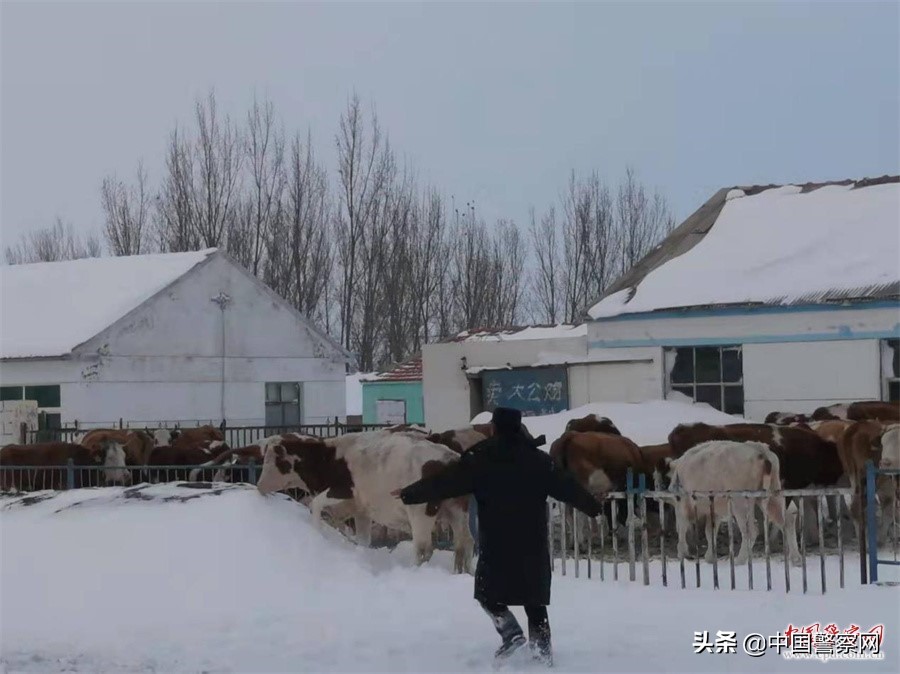 雪落无声 心中有责——致敬民警风雪中的坚守
