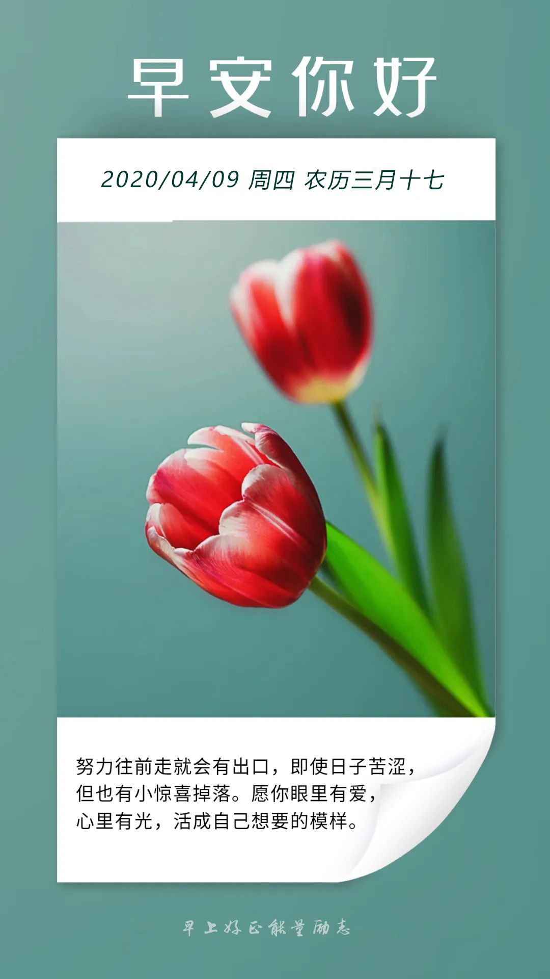 星期四阳光正能量早安图片日签加字：坚者自坚，强者自强