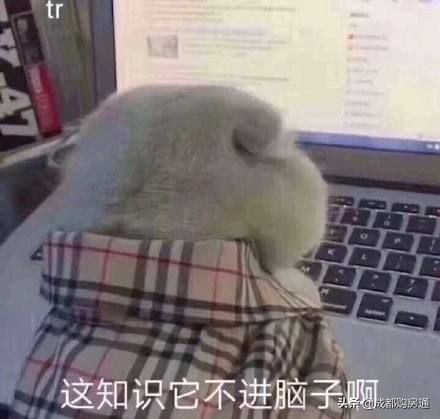 最新成都购房攻略！落户、资格、房贷问题全搞定！建议收藏！