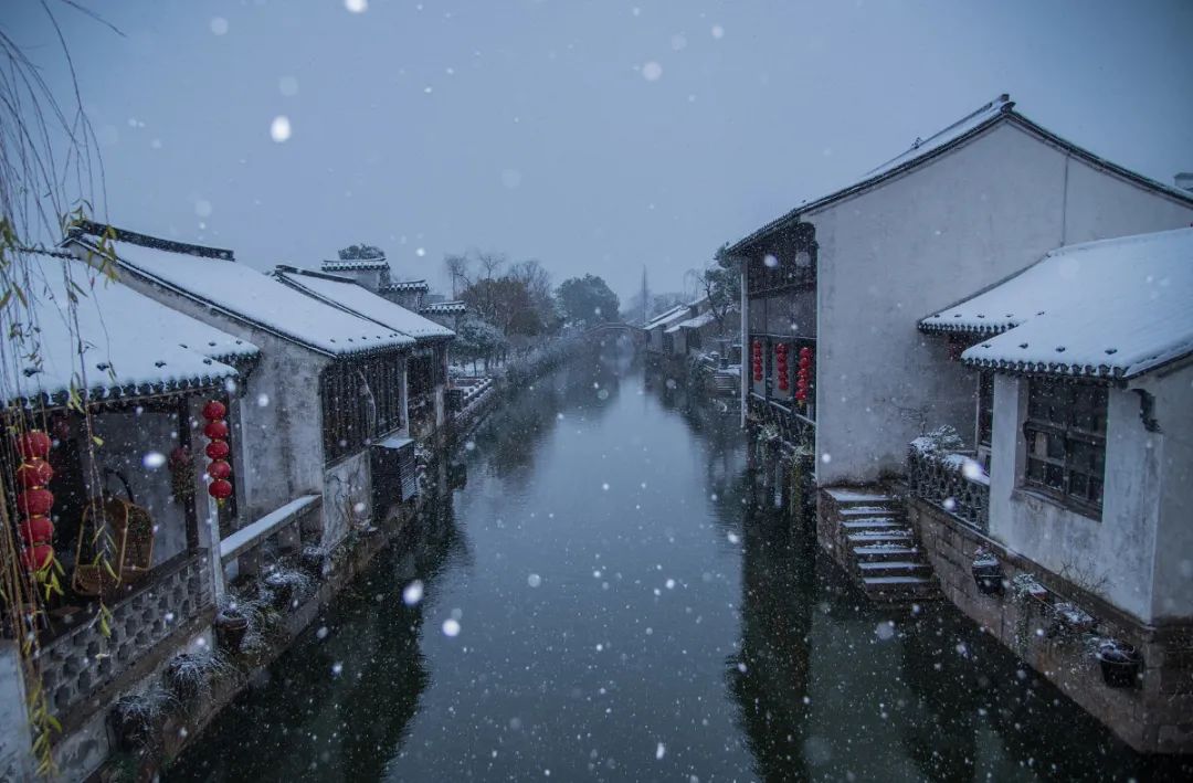 小寒 | 纵是疫情反复，时光永不负人