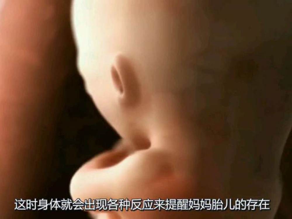 新生命是如何诞生的？“进球”前的过程，别不好意思看