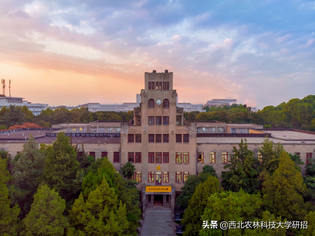 发表10篇一作SCI，助力地方发展，陕西这群“农业”研究生火了