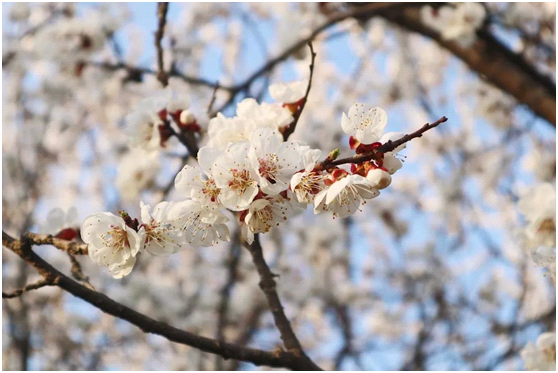 1个专业亚洲第一，港珠澳大桥总工程师也从陕西这所高校走出！