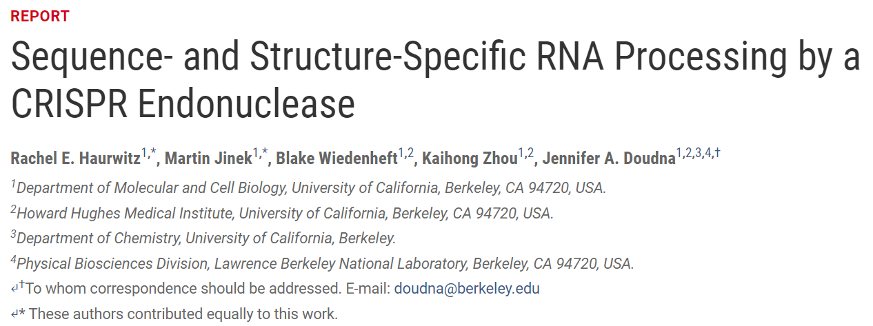 消失在诺奖光环里的人：这8位研究生和博士后，同样值得铭记