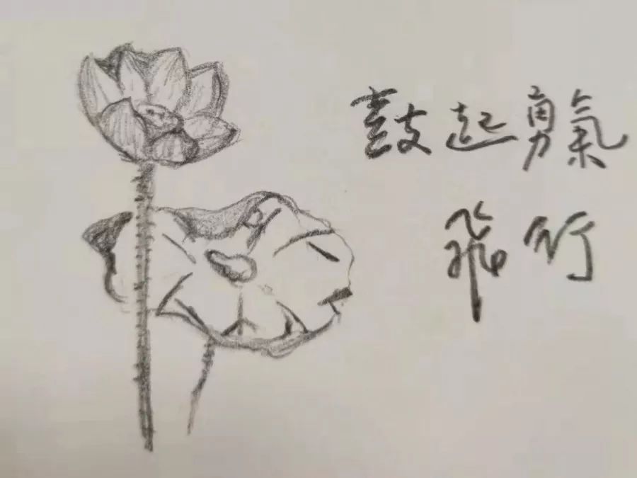 西北大学2019款学霸宿舍：6女生集体保研，19份名校offer