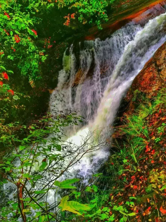 中国醉美秋色在秦岭,2条自驾路线解锁最绚烂秋景,10月最美