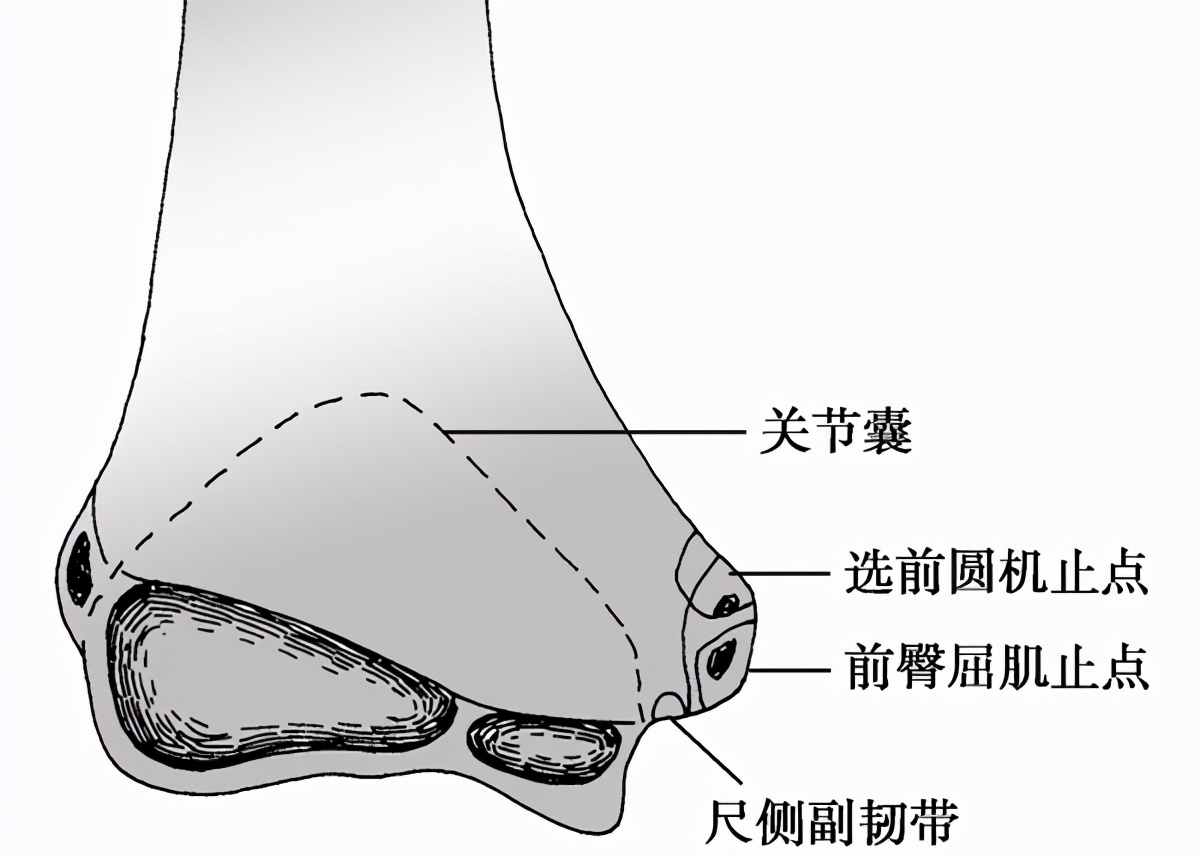 急诊来了骨折的小淘气，如何综合制定诊疗方案？