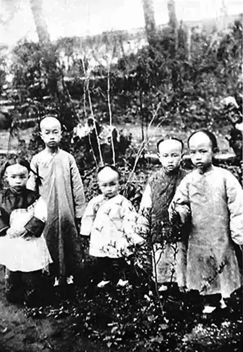 他无一纸文凭,成为清华教授,被誉为“三百年才出一个的大师”?