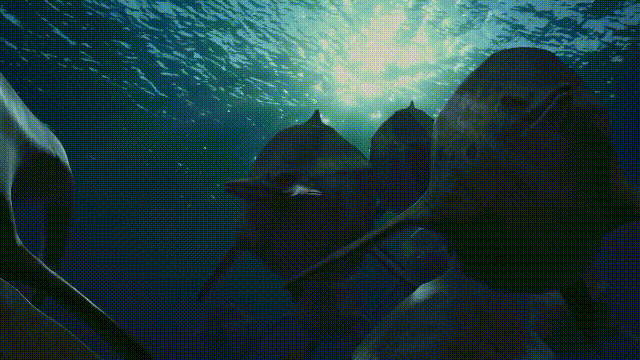 5种比巨齿鲨还恐怖的海怪，背后隐藏着一个人类起源的故事